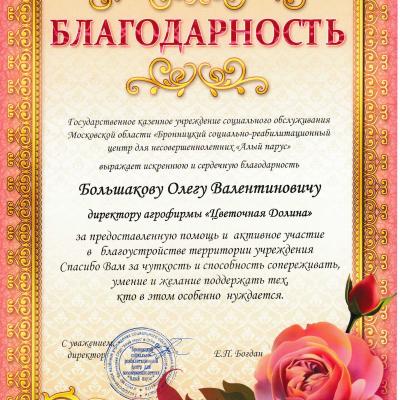 Благодарственное письмо
